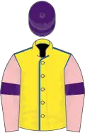 Yellow, royal blue seams, pink sleeves, purple armlets, purple cap