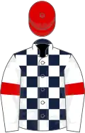 Dark blue and white check, white sleeves, red armlets, red cap