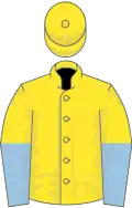 Yellow, Yellow and Light Blue halved sleeves, Yellow cap