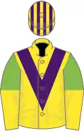 Yellow, purple chevron, light green and yellow halved sleeves, purple and yellow striped cap