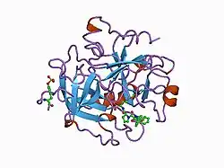 1ai8: HUMAN ALPHA-THROMBIN TERNARY COMPLEX WITH THE EXOSITE INHIBITOR HIRUGEN AND ACTIVE SITE INHIBITOR PHCH2OCO-D-DPA-PRO-BOROMPG