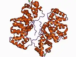 1anw: THE EFFECT OF METAL BINDING ON THE STRUCTURE OF ANNEXIN V AND IMPLICATIONS FOR MEMBRANE BINDING