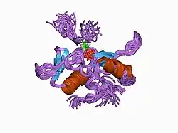 1aou: NMR STRUCTURE OF THE FYN SH2 DOMAIN COMPLEXED WITH A PHOSPHOTYROSYL PEPTIDE, 22 STRUCTURES