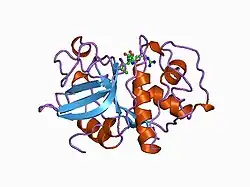 1atk: CRYSTAL STRUCTURE OF THE CYSTEINE PROTEASE HUMAN CATHEPSIN K IN COMPLEX WITH THE COVALENT INHIBITOR E-64
