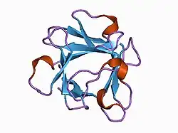 1bas: THREE-DIMENSIONAL STRUCTURES OF ACIDIC AND BASIC FIBROBLAST GROWTH FACTORS