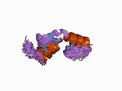 1bbo: HIGH-RESOLUTION SOLUTION STRUCTURE OF THE DOUBLE CYS2*HIS2 ZINC FINGER FROM THE HUMAN ENHANCER BINDING PROTEIN MBP-1