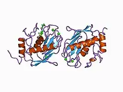 1biw: DESIGN AND SYNTHESIS OF CONFORMATIONALLY-CONSTRAINED MMP INHIBITORS
