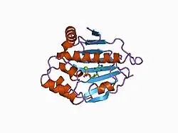 1byq: HSP90 N-TERMINAL DOMAIN BOUND TO ADP-MG