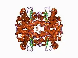 1cbl: THE 1.9 ANGSTROM STRUCTURE OF DEOXY-BETA4 HEMOGLOBIN: ANALYSIS OF THE PARTITIONING OF QUATERNARY-ASSOCIATED AND LIGAND-INDUCED CHANGES IN TERTIARY STRUCTURE
