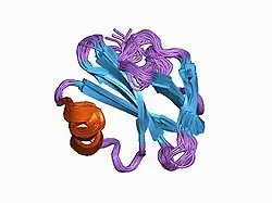 1cdq: STRUCTURE OF A SOLUBLE, GLYCOSYLATED FORM OF THE HUMAN COMPLEMENT REGULATORY PROTEIN CD59