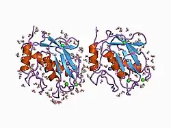 1cgf: CRYSTAL STRUCTURES OF RECOMBINANT 19-KDA HUMAN FIBROBLAST COLLAGENASE COMPLEXED TO ITSELF