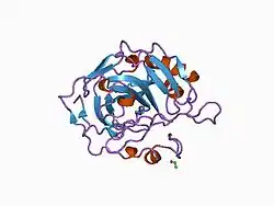 1cra: THE COMPLEX BETWEEN HUMAN CARBONIC ANHYDRASE II AND THE AROMATIC INHIBITOR 1,2,4-TRIAZOLE