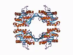 1d2h: CRYSTAL STRUCTURE OF R175K MUTANT GLYCINE N-METHYLTRANSFERASE COMPLEXED WITH S-ADENOSYLHOMOCYSTEINE