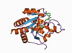 1d4o: CRYSTAL STRUCTURE OF TRANSHYDROGENASE DOMAIN III AT 1.2 ANGSTROMS RESOLUTION