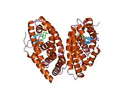 1dkf: CRYSTAL STRUCTURE OF A HETERODIMERIC COMPLEX OF RAR AND RXR LIGAND-BINDING DOMAINS