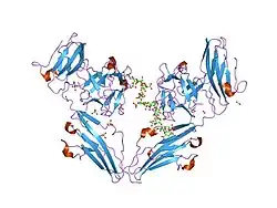 1e0o: CRYSTAL STRUCTURE OF A TERNARY FGF1-FGFR2-HEPARIN COMPLEX