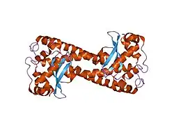 1em1: X-RAY CRYSTAL STRUCTURE FOR HUMAN MANGANESE SUPEROXIDE DISMUTASE, Q143A