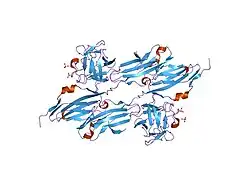 1evt: CRYSTAL STRUCTURE OF FGF1 IN COMPLEX WITH THE EXTRACELLULAR LIGAND BINDING DOMAIN OF FGF RECEPTOR 1 (FGFR1)