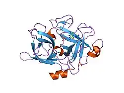 1f5l: UROKINASE PLASMINOGEN ACTIVATOR B-CHAIN-AMILORIDE COMPLEX