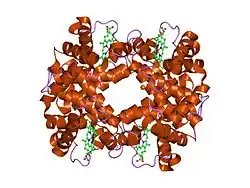 1gli: DEOXYHEMOGLOBIN T38W (ALPHA CHAINS), V1G (ALPHA AND BETA CHAINS)
