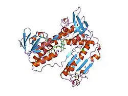 1gsn: HUMAN GLUTATHIONE REDUCTASE MODIFIED BY DINITROSOGLUTATHIONE