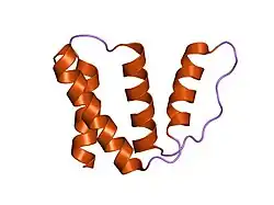 1hb6: STRUCTURE OF BOVINE ACYL-COA BINDING PROTEIN IN ORTHORHOMBIC CRYSTAL FORM