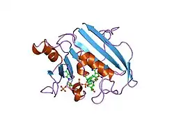 1hfp: COMPARISON OF TERNARY CRYSTAL COMPLEXES OF HUMAN DIHYDROFOLATE REDUCTASE WITH NADPH AND A CLASSICAL ANTITUMOR FUROPYRIMDINE
