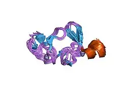 1ibi: QUAIL CYSTEINE AND GLYCINE-RICH PROTEIN, NMR, 15 MINIMIZED MODEL STRUCTURES