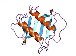 1icw: INTERLEUKIN-8, MUTANT WITH GLU 38 REPLACED BY CYS AND CYS 50 REPLACED BY ALA