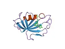 1j4h: crystal structure analysis of the FKBP12 complexed with 000107 small molecule