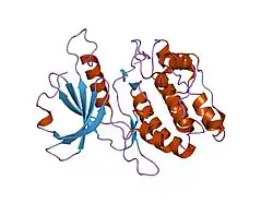 1jks: 1.5A X-RAY STRUCTURE OF APO FORM OF A CATALYTIC DOMAIN OF DEATH-ASSOCIATED PROTEIN KINASE
