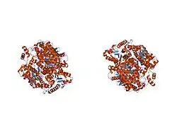 1jlh: Human Glucose-6-phosphate Isomerase