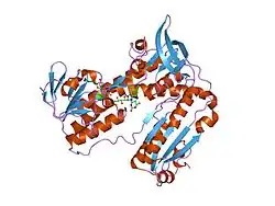 1k4q: Human Glutathione Reductase Inactivated by Peroxynitrite