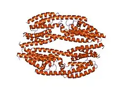 1key: Crystal Structure of Mouse Testis/Brain RNA-binding Protein (TB-RBP)