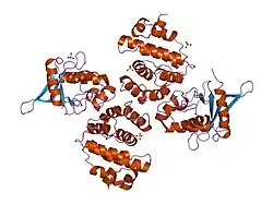 1kps: Structural Basis for E2-mediated SUMO conjugation revealed by a complex between ubiquitin conjugating enzyme Ubc9 and RanGAP1