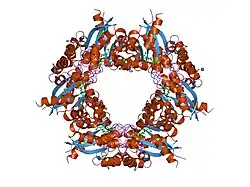 1kqn: Crystal structure of NMN/NaMN adenylyltransferase complexed with NAD