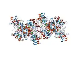 1m3e: Succinyl-COA:3-ketoacid COA transferase from pig heart (selenomethionine)
