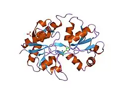 1m5d: X-RAY STRUCTURE OF THE GLUR2 LIGAND BINDING CORE (S1S2J-Y702F) IN COMPLEX WITH Br-HIBO AT 1.73 A RESOLUTION