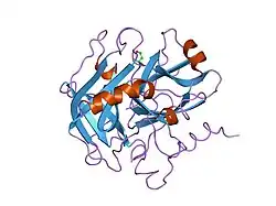 1nrp: CRYSTALLOGRAPHIC STRUCTURES OF THROMBIN COMPLEXED WITH THROMBIN RECEPTOR PEPTIDES: EXISTENCE OF EXPECTED AND NOVEL BINDING MODES
