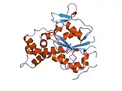 1nst: THE SULFOTRANSFERASE DOMAIN OF HUMAN HAPARIN SULFATE N-DEACETYLASE/N-SULFOTRANSFERASE