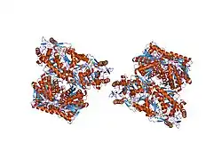 1nzz: Human mitochondrial aldehyde dehydrogenase complexed with NADH in the presence of low Mg2+
