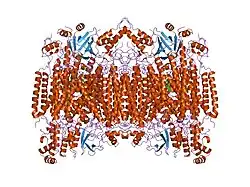 1oco: BOVINE HEART CYTOCHROME C OXIDASE IN CARBON MONOXIDE-BOUND STATE
