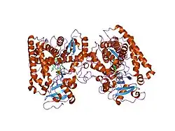 1og2: STRUCTURE OF HUMAN CYTOCHROME P450 CYP2C9