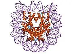 1p3f: Crystallographic Studies of Nucleosome Core Particles containing Histone 'Sin' Mutants