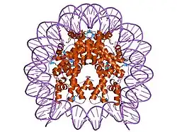 1p3p: Crystallographic Studies of Nucleosome Core Particles containing Histone 'Sin' Mutants