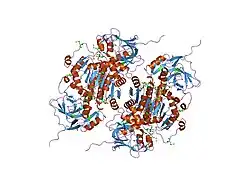 1pl6: Human SDH/NADH/inhibitor complex