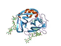1ppg: THE REFINED 2.3 ANGSTROMS CRYSTAL STRUCTURE OF HUMAN LEUKOCYTE ELASTASE IN A COMPLEX WITH A VALINE CHLOROMETHYL KETONE INHIBITOR