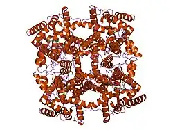 1ptw: The Crystal Structure of AMP-Bound PDE4 Suggests a Mechanism for Phosphodiesterase Catalysis