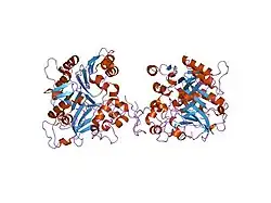 1qzq: human Tyrosyl DNA phosphodiesterase
