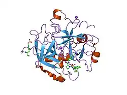 1sb1: Novel Non-Covalent Thrombin Inhibitors Incorporating P1 4,5,6,7-Tetrahydrobenzothiazole Arginine Side Chain Mimetics